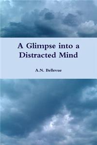 Glimpse into a Distracted Mind