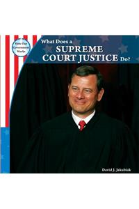 What Does a Supreme Court Justice Do?