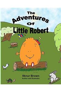 The Adventures of Little Robert