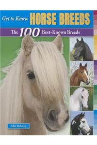 Get to Know Horse Breeds