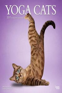 Yoga Cats 2017 Calendar