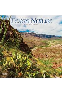 Texas Nature 2019 Square Foil