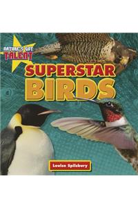 Superstar Birds