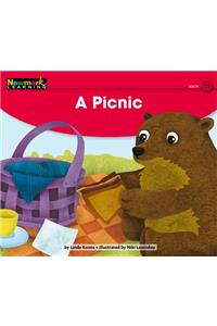 A Picnic Leveled Text