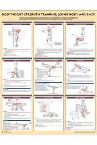 Bodyweight Strength Training Poster: Lower Body and Back