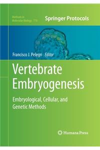 Vertebrate Embryogenesis
