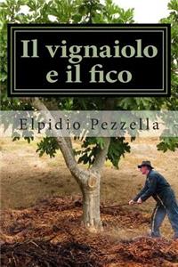 Il Vignaiolo E Il Fico