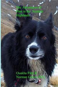 The Adventures of Flint in the Scottish Highlands.