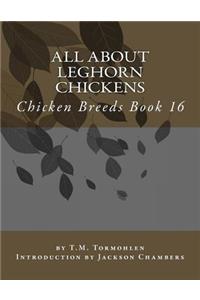 All About Leghorn Chickens