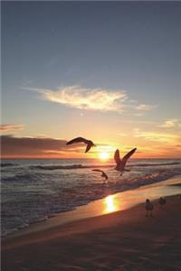 Seagulls on the Beach at Sunset Journal