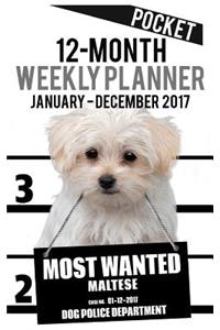 2017 Pocket Weekly Planner - Most Wanted Maltese