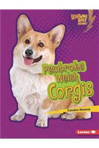 Pembroke Welsh Corgis
