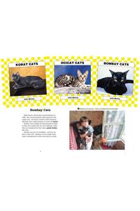 Cats Set 3 (Set)