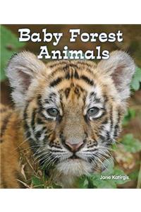 Baby Forest Animals