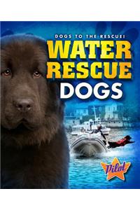 Water Rescue Dogs