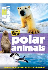 Polar Animals (Animal Planet Animal Bites)