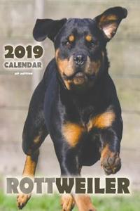 Rottweiler 2019 Calendar (UK Edition)