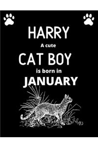 HARRY a cute cat boy is born in January