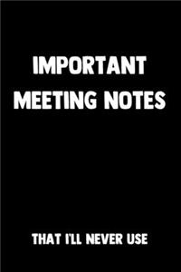 Important Meeting Notes That I'll Never Use
