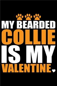 My Bearded Collie Is My Valentine