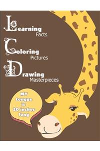 Learning Facts Coloring Pictures Drawing Masterpieces