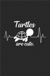 Turtles are cute