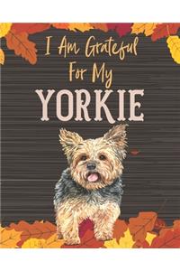 I Am Grateful For My Yorkie