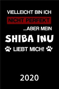 Shiba Inu 2020