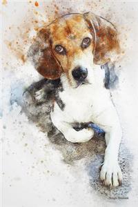 Beagle Notebook