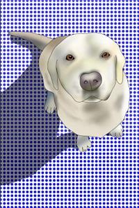 Yellow Labrador Retriever