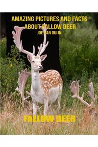 Fallow Deer: Amazing Pictures and Facts about Fallow Deer