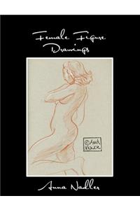 Female Figure Drawings