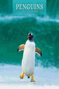 PENGUINS 2023 SQUARE WALL CALENDAR