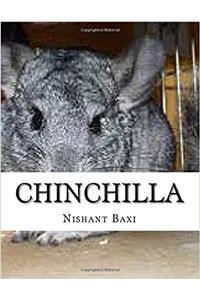 Chinchilla