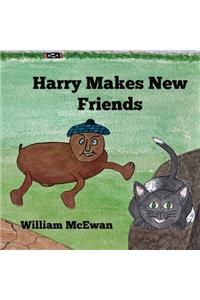 Harry Makes New Friends