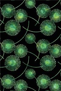 Bullet Journal Notebook Watercolor Dandelions Pattern 3