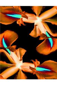 Orange Iris Notebook