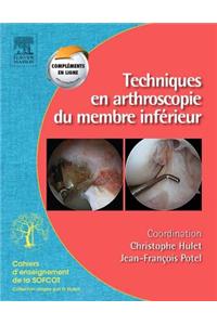 Techniques En Arthroscopie Du Membre Inférieur