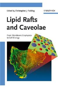 Lipid Rafts and Caveolae