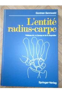 L'entite radius-carpe