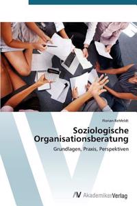 Soziologische Organisationsberatung