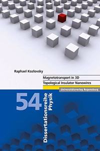 Magnetotransport in 3D Topological Insulator Nanowires