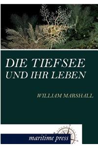 Die Tiefsee und ihr Leben