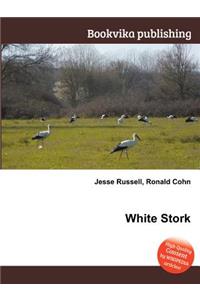 White Stork
