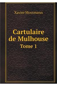 Cartulaire de Mulhouse Tome 1