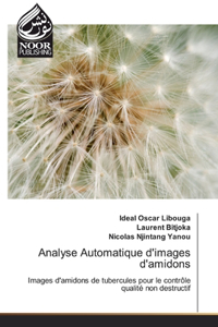 Analyse Automatique d'images d'amidons