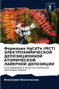 Формация HgCdTe (MCT) ЭЛЕКТРОХИМИЧЕСКОЙ ДЕПОЗИЦИ&#