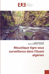 Moustique tigre sous surveillance dans l'Ouest algérien