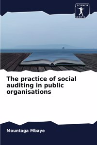practice of social auditing in public organisations