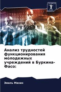 Анализ трудностей функционирования моло&